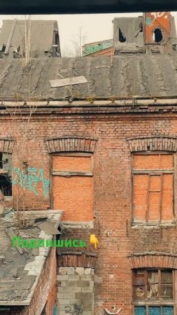 Неужели нас не пустит треугольник? #заброшенноеместо #horror #скрытые #travel #scary