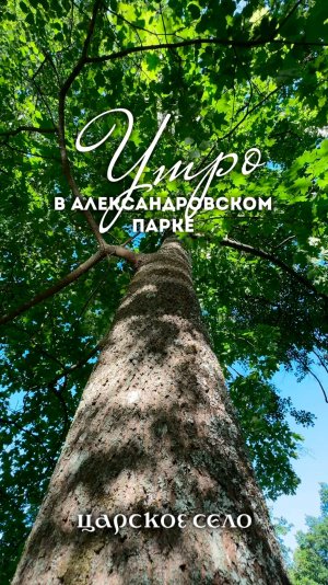 Доброе субботнее утро!