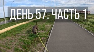 День 57, часть 1