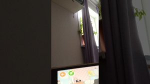 1000032788.mp4