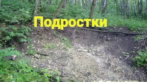 Подростки