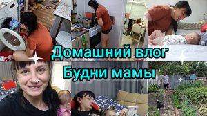 Домашний влог. Будни мамы.Копаем картошку.