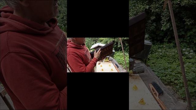 доска из ореха