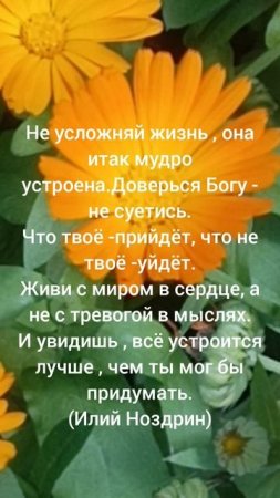 не суетись-доверься Богу🫶