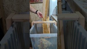 Майский мёд 2025