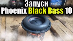 Запуск Gryphone Phoenix Black Bass 10