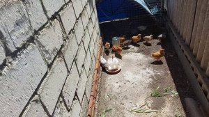 КУПАЛЬНЫЙ СЕЗОН ОТКРЫТ...НАША ЖИЗНЬ...КРАСОТА ОКРУЖАЕТ НАС...