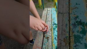 Как сделать коктейль Молотова