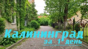 Калининград и Зеленоградск за 1 день