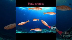 Для кого жиза?#Жиза