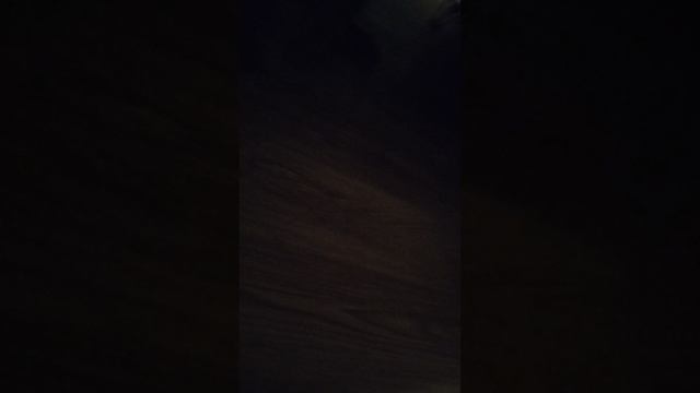 Супер Рекс