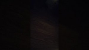 Супер Рекс