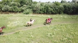 Дневник конных сборов за 25 июня 2025 года
