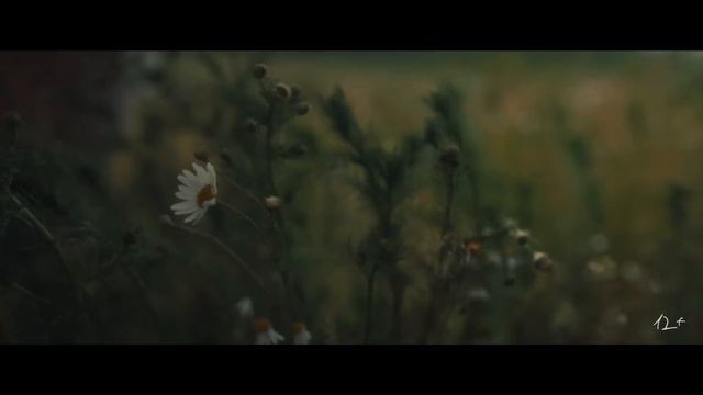 Клава Кока, ANDRO - Просто так