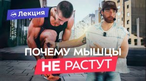 Как работает тело на тренировках? Метаболические переходы и зоны интенсивности