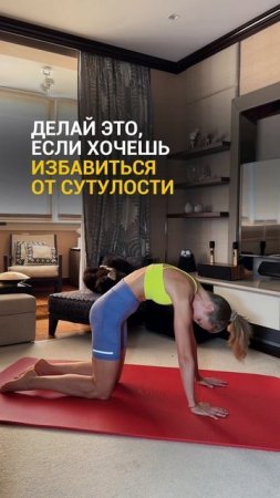 Это работает ☝🏻