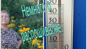 НЕМНОГО О РАСПОШИВАЛКЕ/  УМИРАЮ ОТ ЖАРЫ,НО ВСЕ ЖЕ  Я ШЬЮ. 5 июля 25 г.