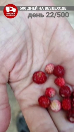 Вкусная достопримечательность Урала
