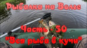 Рыбалка на Волге. Часть - 50. "Вся рыба в кучи".