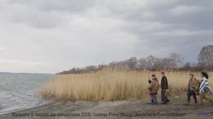 Эта музыка превращает любой отель в романтическое убежище - Blossoming -- Podington Bear -- Meet Pod