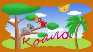 Коало для взрослых