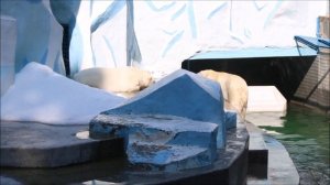 Кай плавает на своём месте, а Герда отдыхает 02.07.2025