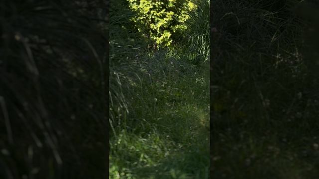 Утро в моем городе