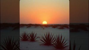 Иосиф Бродский — Зимним вечером в Ялте (вар1)