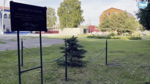 Памятники Тары (04.07.2025)