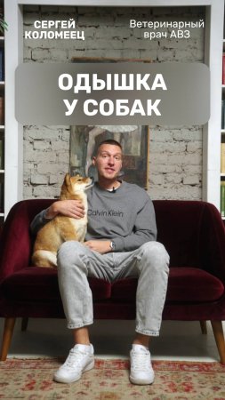 Одышка у собак