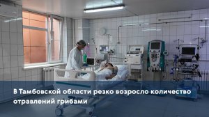В Тамбовской области резко возросло количество отравлений грибами