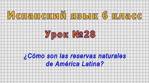 Испанский язык 6 класс (Урок№28 - ¿Cómo son las reservas naturales de América Latina?)