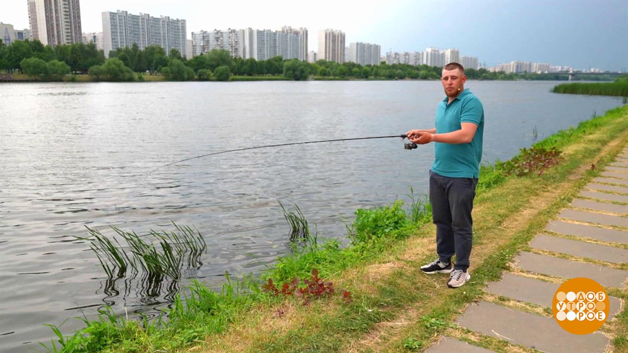 Любишь рыбку ловить - люби и травку косить! Доброе утро. Фрагмент выпуска от 04.07.2025