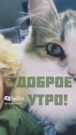 20 июня 2025 г.