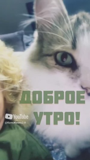 20 июня 2025 г.