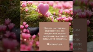 Цитаты,помогающие жить!!!