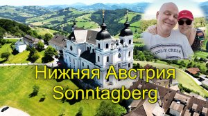 Жара в Вене? Идеальный хайкинг. Свежий воздух и виды! Здесь Оживленно!! Цены в австрийской Норме.