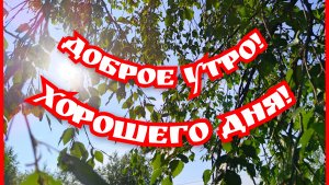 Доброе утро! Хорошего дня!
