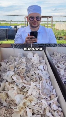 Вы за кремацию или захоронение?