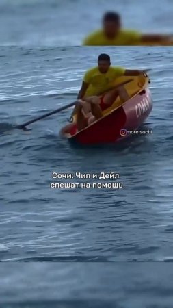 Чип и Дейл не спешат