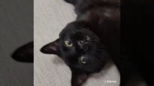 33_yapfiles.ru