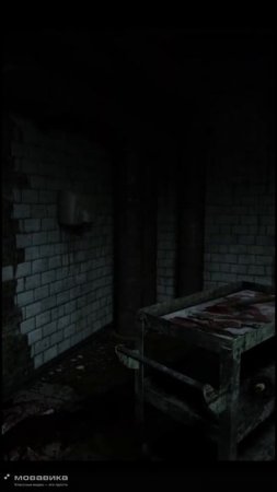 Педикюр в Outlast не заказывали