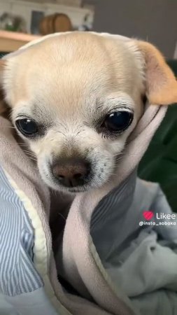 1000002812.mp4