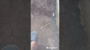 ПРИКЛЮЧЕНИЯ БРО 1 СЕЗОН🧭