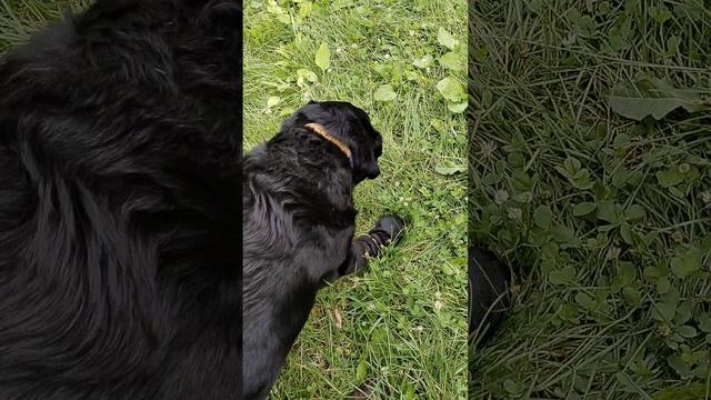 1000007045.mp4