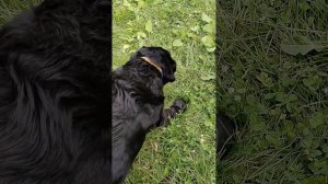 1000007045.mp4