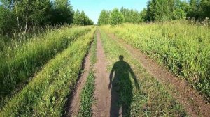 День 509. Пришла жара. Дистанция 11 километров.
