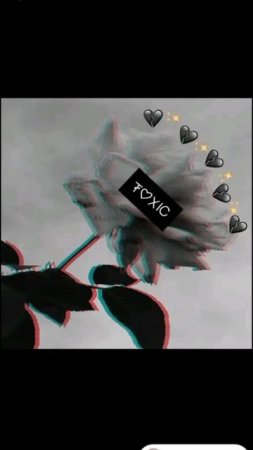1000016991.mp4