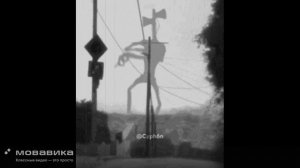 я сам хз что за х##нь