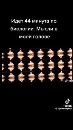 1000000247.mp4